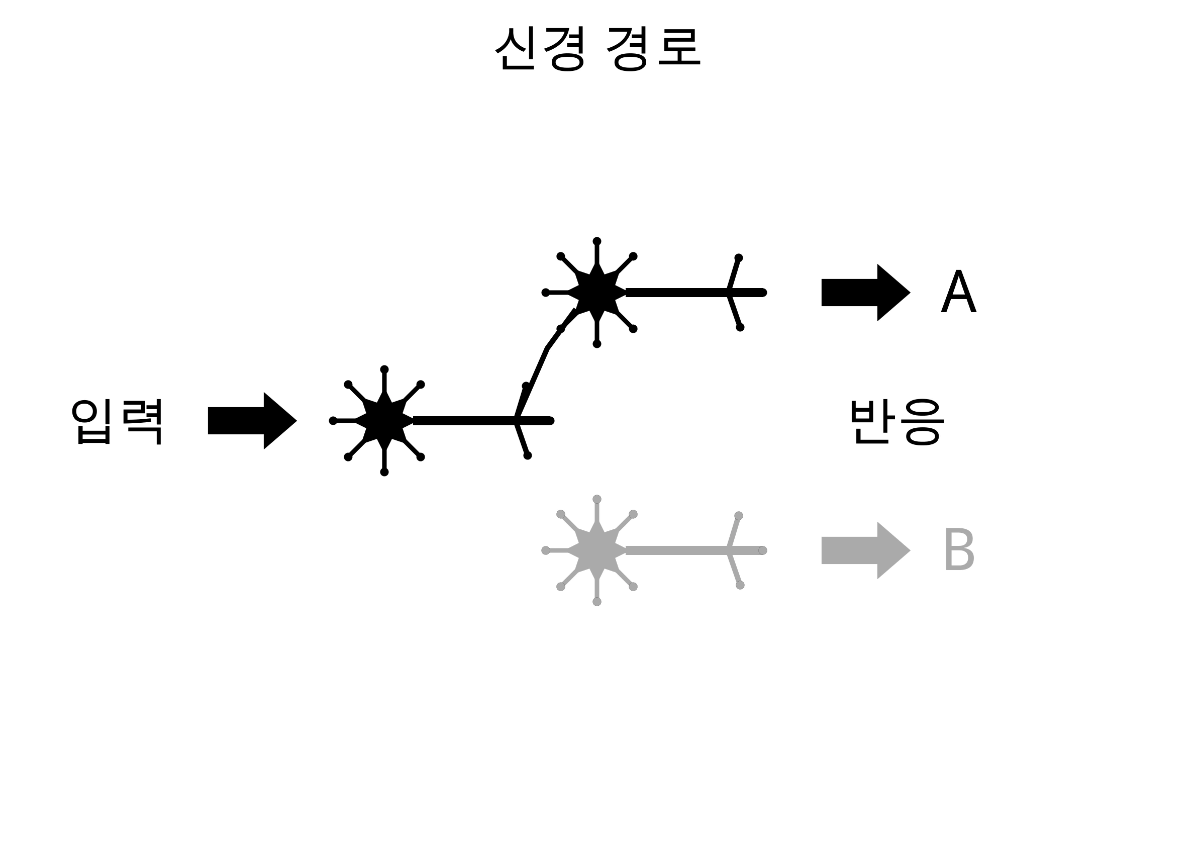 왼쪽 뉴런에서 위쪽 반응 A로 이어지는 경로가 검게 연결돼 있어요. 아래쪽 반응 B와 뉴런은 회색으로 옅어져, 반복한 반응 A가 강화된 모습을 보여 줘요.