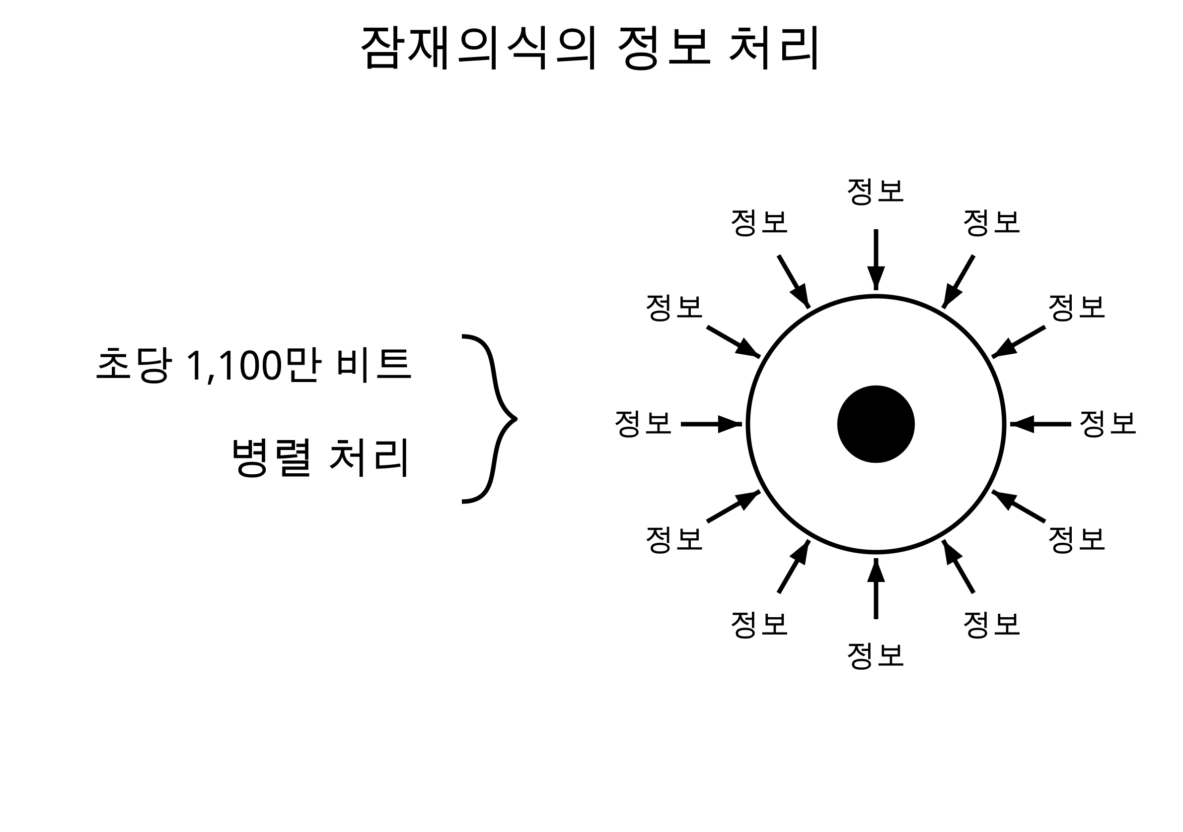 잠재의식이 여러 정보를 동시에 처리하는 모형이에요. 여러 방향의 정보 화살표가 큰 흰색 원으로 들어가며, 처리량은 초당 1,100만 비트로 표시돼요.
