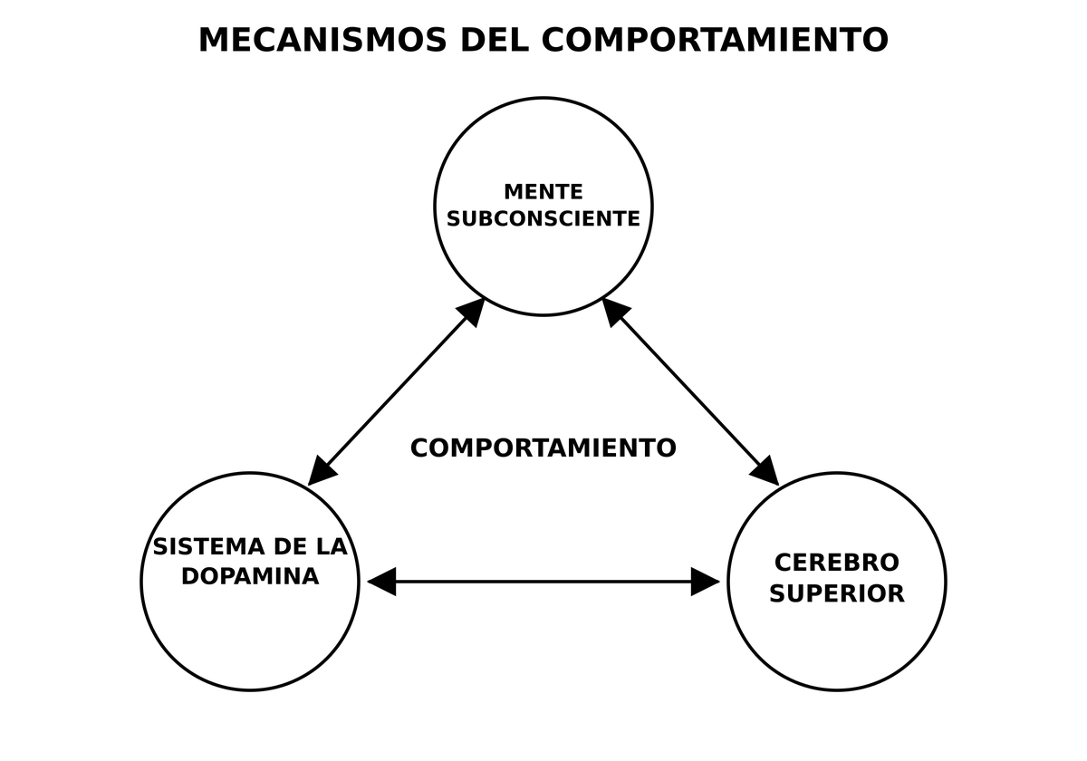 La mente subconsciente, el sistema de la dopamina y el cerebro superior interactúan e influyen en el comportamiento.