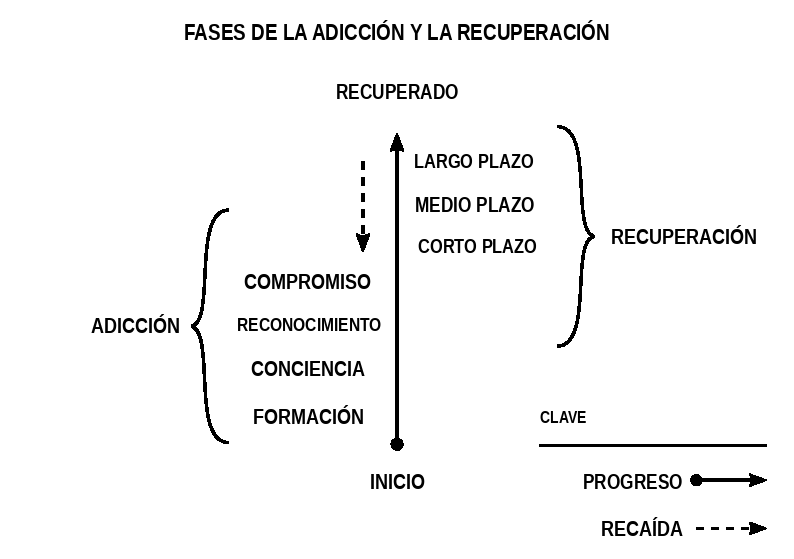 Diagrama de las etapas de la adicción y la recuperación, con flechas de progreso y recaída.
