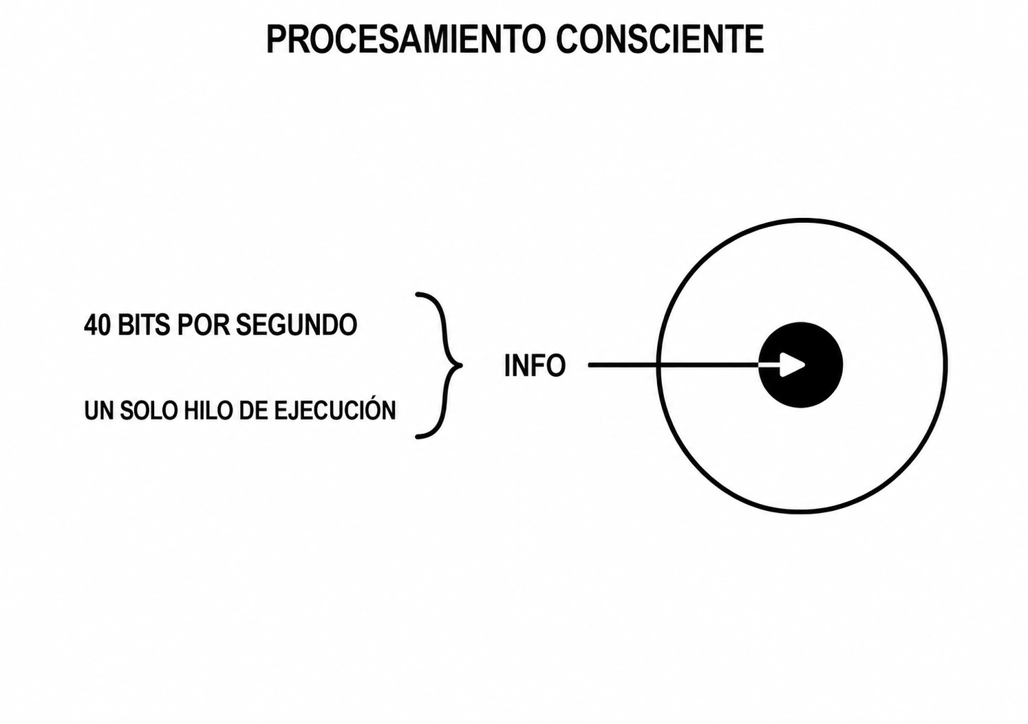 Modelo del procesamiento consciente: cuarenta bits por segundo y un solo hilo de ejecución.