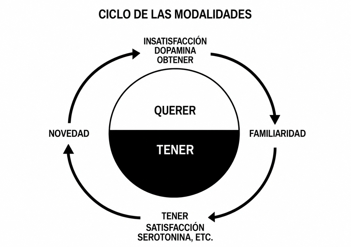 Ciclo de los modos querer y tener. La novedad lleva al querer, la insatisfacción, la dopamina y la búsqueda de algo. La familiaridad lleva al tener, la satisfacción y la serotonina. Una novedad vuelve a iniciar el ciclo.