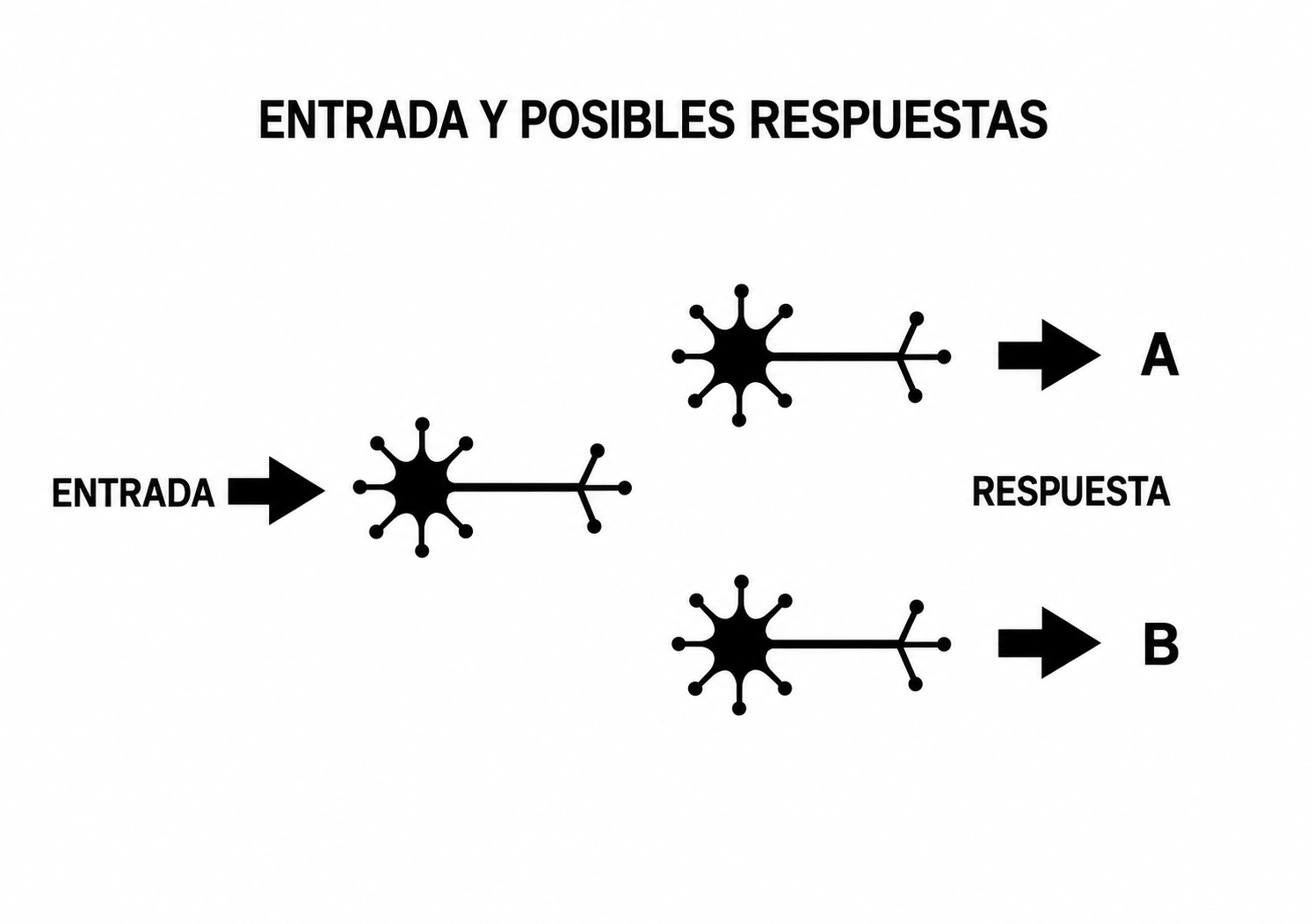 Diagrama de una entrada que puede dar lugar a dos respuestas distintas.